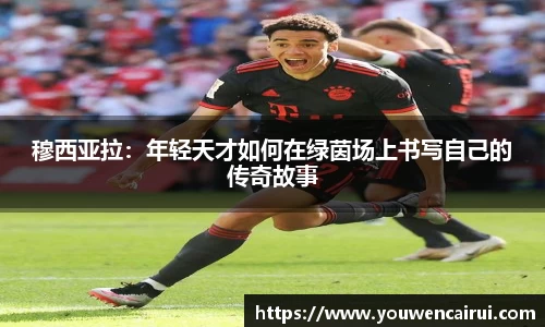 JNJN江南体育官方网站